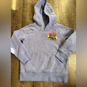 3t blue surfer bear hoodie